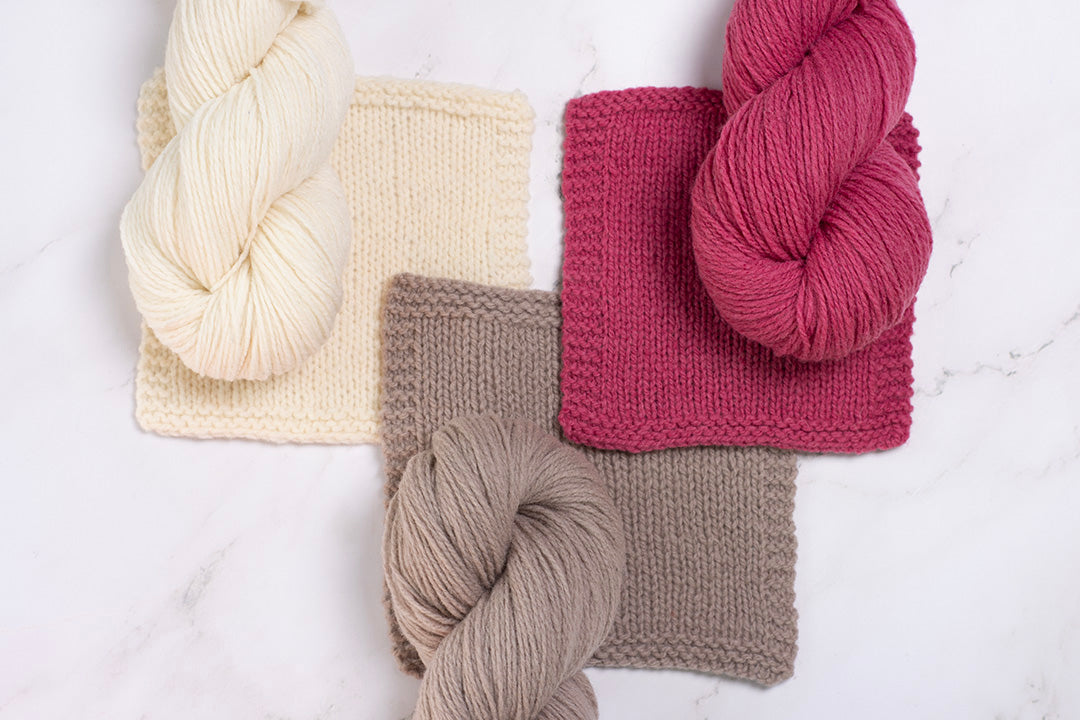 Gentile Design Bundle