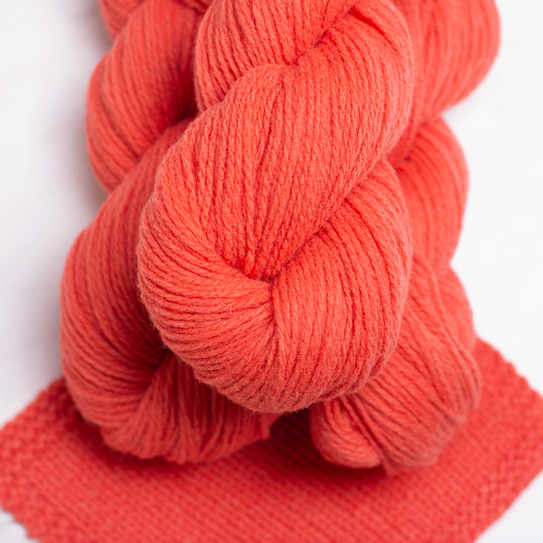 POMPELMO | Sport Weight