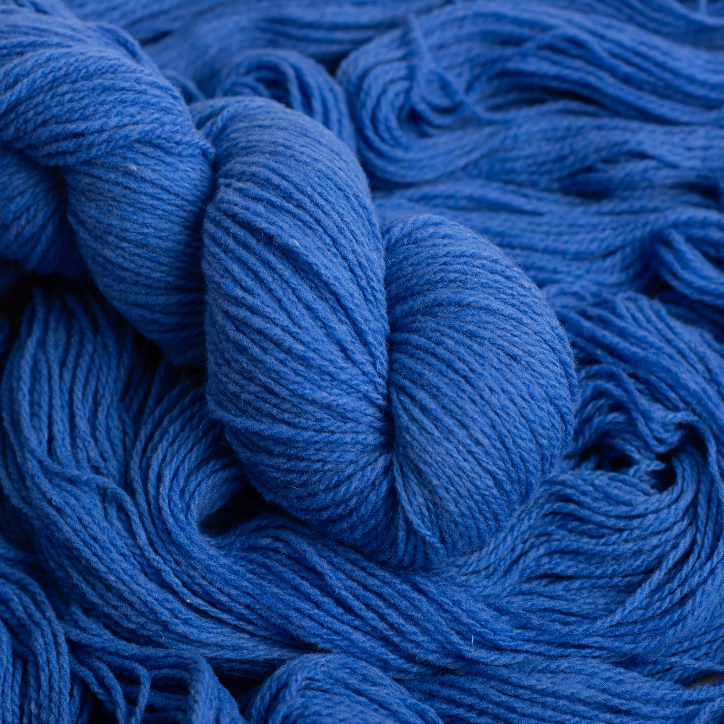 LITODORA BLUE | Sport Weight