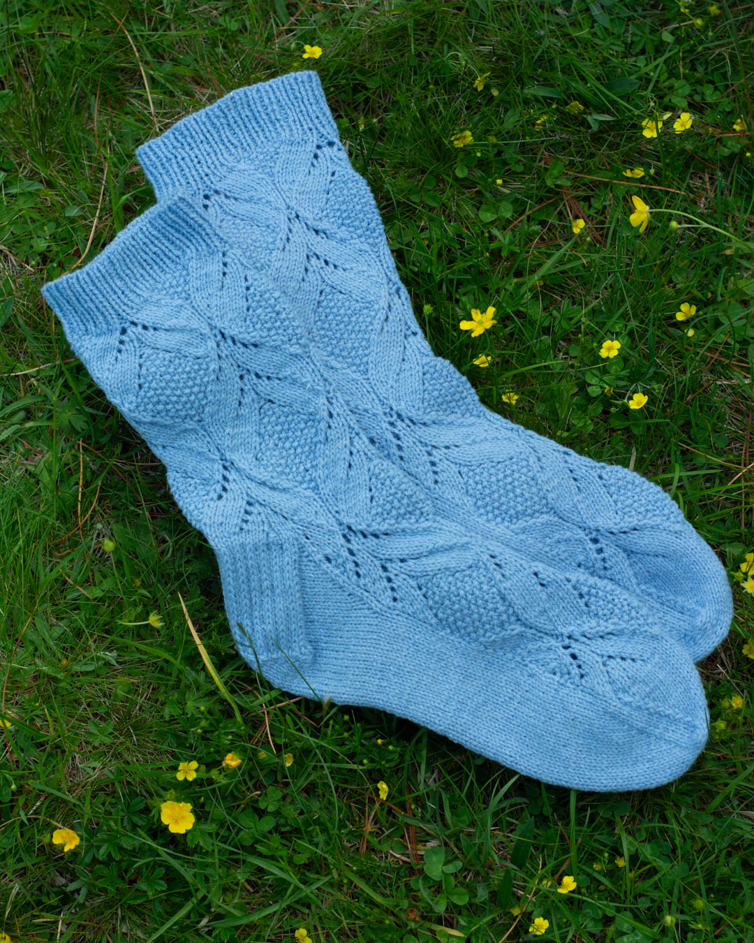 Poet Sock